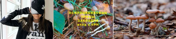 амф Михайлов