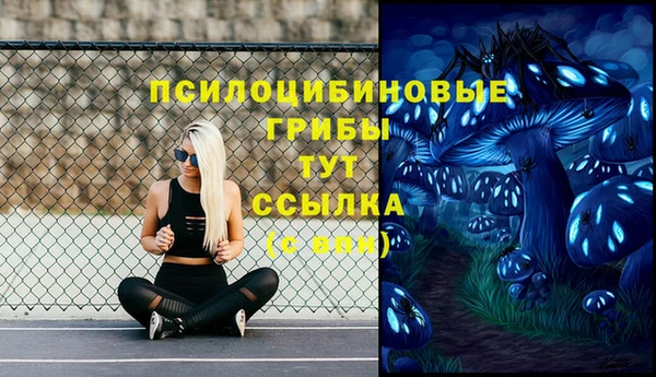 дурь Михайловск