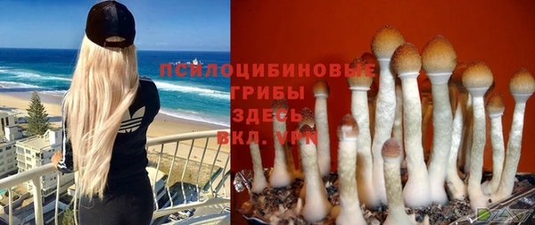 дурь Михайловск