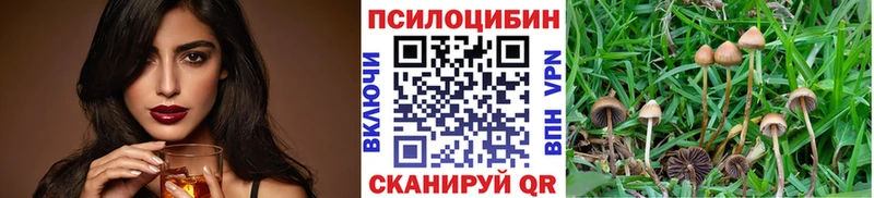 Псилоцибиновые грибы мухоморы  Купить  Заполярный 