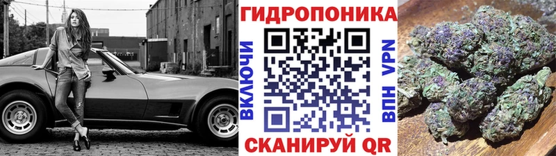 МАРИХУАНА гибрид  Купить  Заполярный 